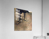 Trodden Weed   1951 - Andrew Wyeth Acrylic Print