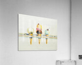 Wayne Thiebaud Acrylic Print