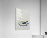 Wayne Thiebaud Acrylic Print