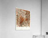 Art by Brice Marden   Acrylic Print