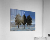 Rene Magritte Acrylic Print