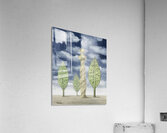 Rene Magritte Acrylic Print