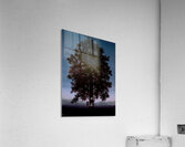 Rene Magritte Acrylic Print