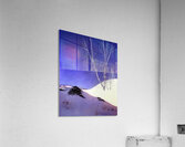 Maxfield Parrish 2 Acrylic Print