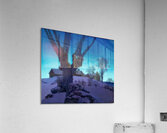 Maxfield Parrish 5 Acrylic Print