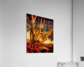 Maxfield Parrish 11 Acrylic Print