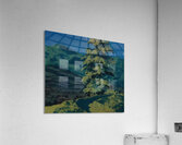 Maxfield Parrish 1 Acrylic Print