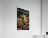 Maxfield Parrish 22 Acrylic Print