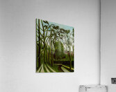 Henri Rousseau 8 Acrylic Print