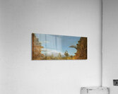 Henri Rousseau 16 Acrylic Print