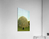 Henri Rousseau 27 Acrylic Print