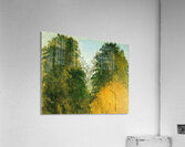 Henri Rousseau 35 Acrylic Print