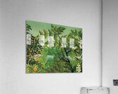 Henri Rousseau 39 Acrylic Print