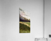 Henri Rousseau 47 Acrylic Print