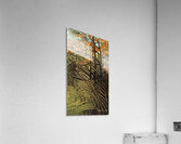 Henri Rousseau 48 Acrylic Print