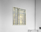 Richard Diebenkorn  Acrylic Print