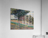 Armand Guillaumin 8 Acrylic Print