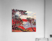 Armand Guillaumin 17 Acrylic Print