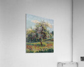 Armand Guillaumin 23 Acrylic Print