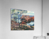 Armand Guillaumin 26 Acrylic Print