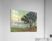 Armand Guillaumin 50 Acrylic Print