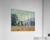 Armand Guillaumin 33 Acrylic Print