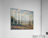 Armand Guillaumin 36 Acrylic Print