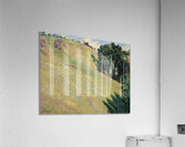 Armand Guillaumin 56 Acrylic Print