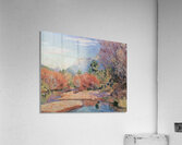 Armand Guillaumin 57 Acrylic Print