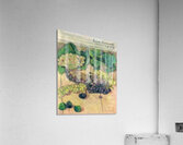 Emile Bernard 36 Acrylic Print