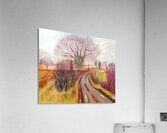 David Hockney 11 Acrylic Print