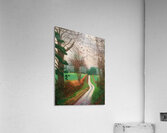 David Hockney 17 Acrylic Print