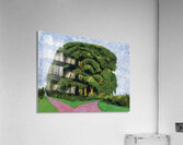 David Hockney 23 Acrylic Print