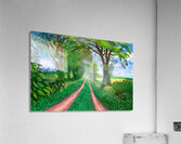 David Hockney 24 Acrylic Print