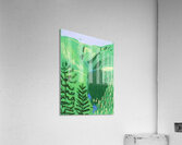 David Hockney 25 Acrylic Print