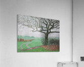 David Hockney 33 Acrylic Print