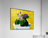 David Hockney 41 Acrylic Print