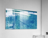 David Hockney 43 Acrylic Print