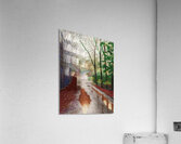 David Hockney 52 Acrylic Print