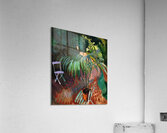 Raoul Dufy 27 Acrylic Print