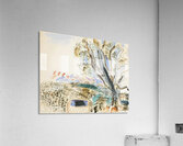 Raoul Dufy 37 Acrylic Print