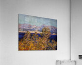 CLAUDE MONET ARTWORK 1 Acrylic Print