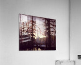 Lawren Harris  10 Acrylic Print