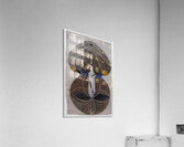 Hilma af Klint 17 Acrylic Print