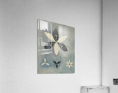 Hilma af Klint 26 Acrylic Print