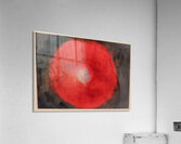 New Upload   Hilma af Klint 16 Acrylic Print