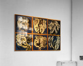 OUSWALDO GUAYASAMIN  22 Acrylic Print