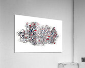 JEAN DUBUFFET 45 Impression acrylique