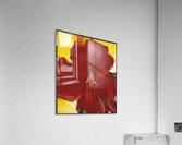 Georgia OKeeffe 6 Acrylic Print