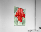 Georgia OKeeffe 7 Acrylic Print